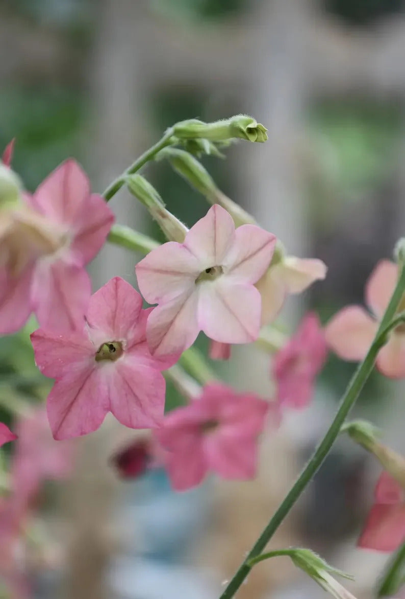 2ebbcb06-c771-496e-b8a8-a03b5394ea27