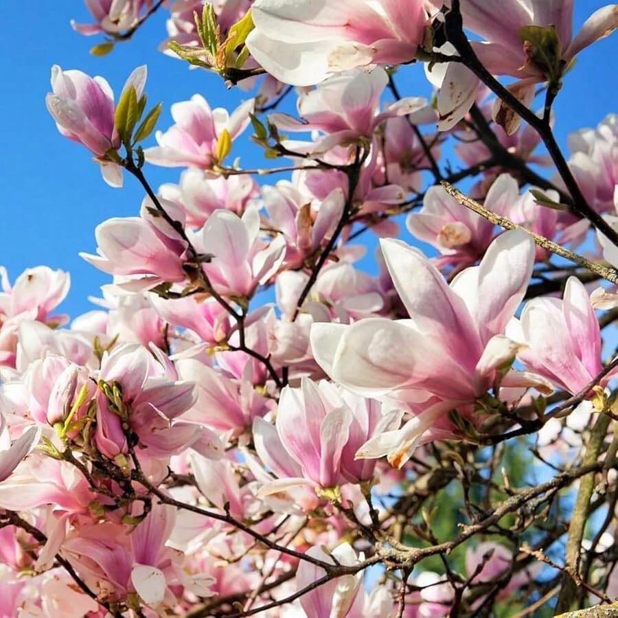 69e727e6-91bd-4c0e-8a41-c73fda443bb1