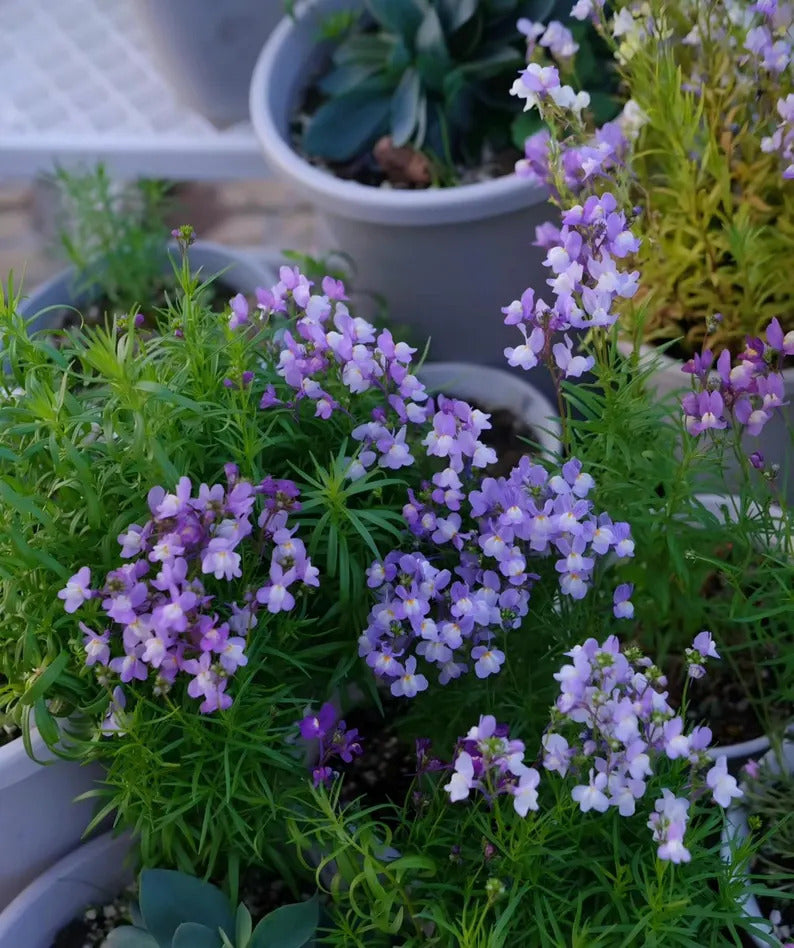 4eaf03d0-bd9a-42fb-af5c-47f37cd2447a