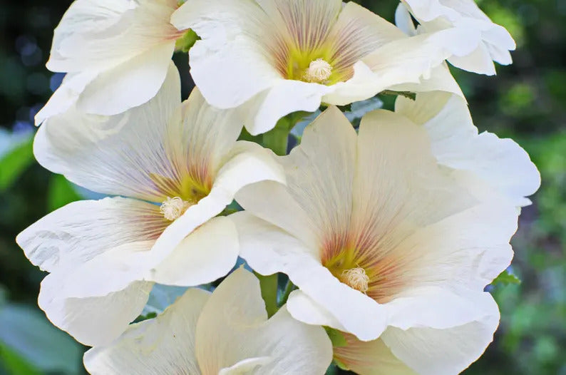 1fc9173d-9049-4ad0-afba-faf3e281c9fa