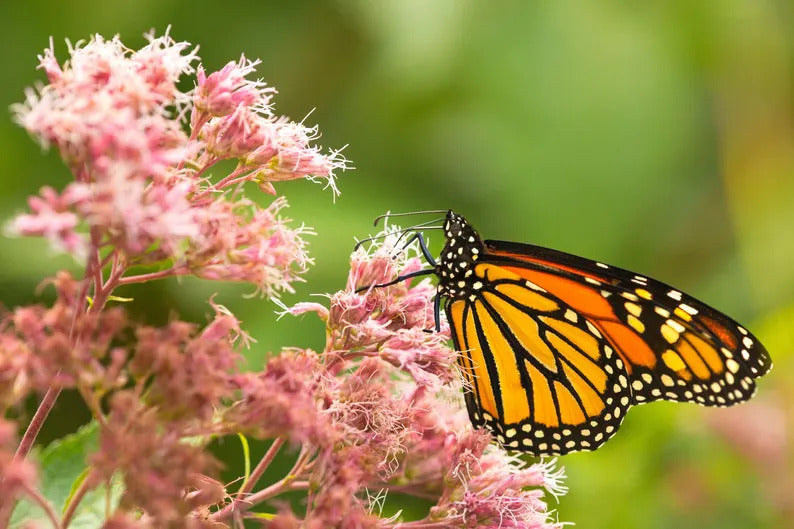 3897019d-96bd-46de-9fc9-e110089995da