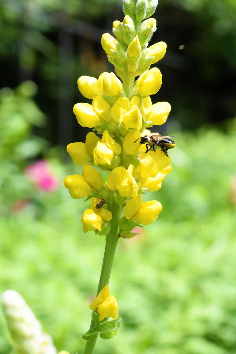 d91a39e1-7151-439a-bc38-069d2c9703fd