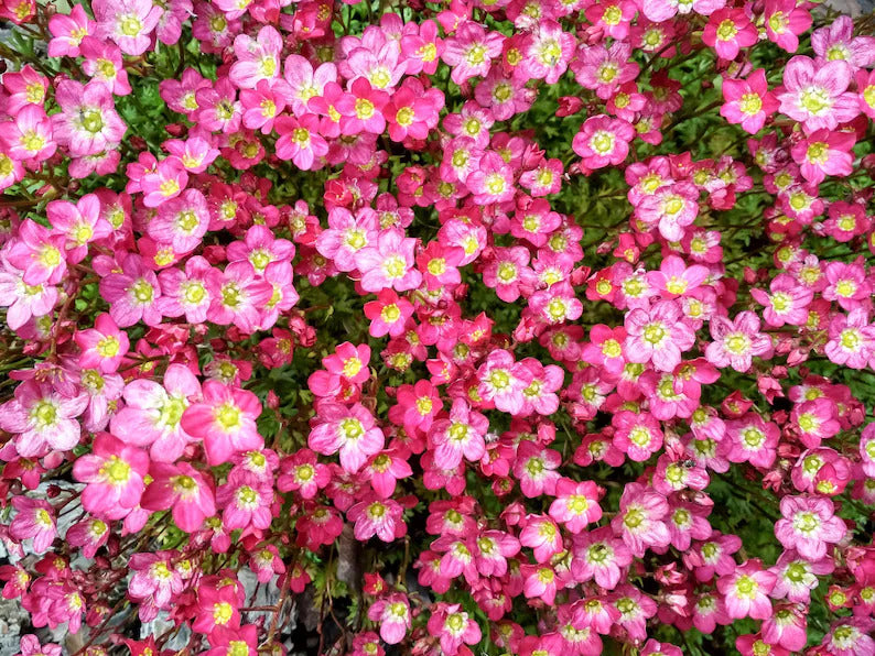 04ace692-0471-41eb-83ff-314395f174c6