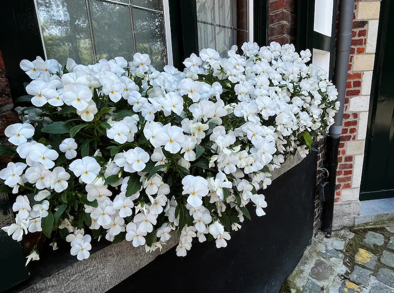 d0e1a5d8-a07f-410c-ab0f-1fe26f811380