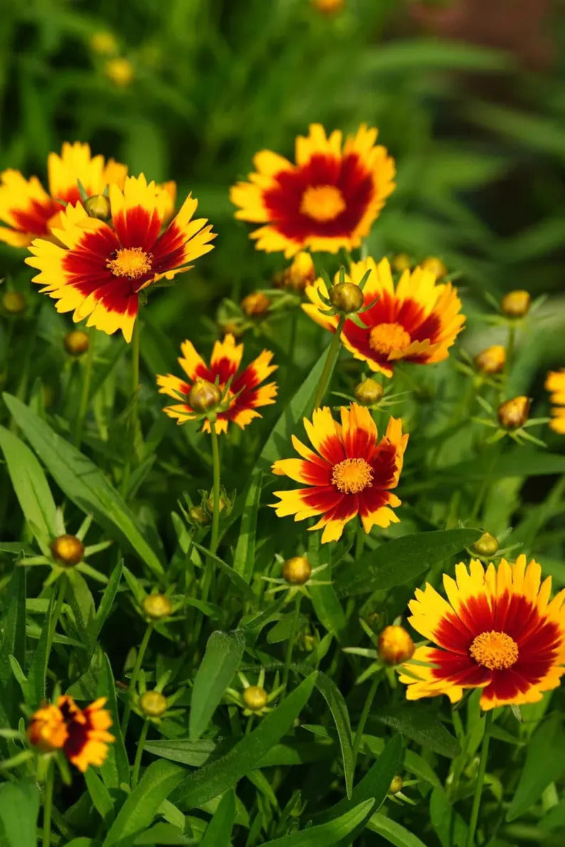 1da2fe90-1215-4227-a7be-c91a8f5bb6a4