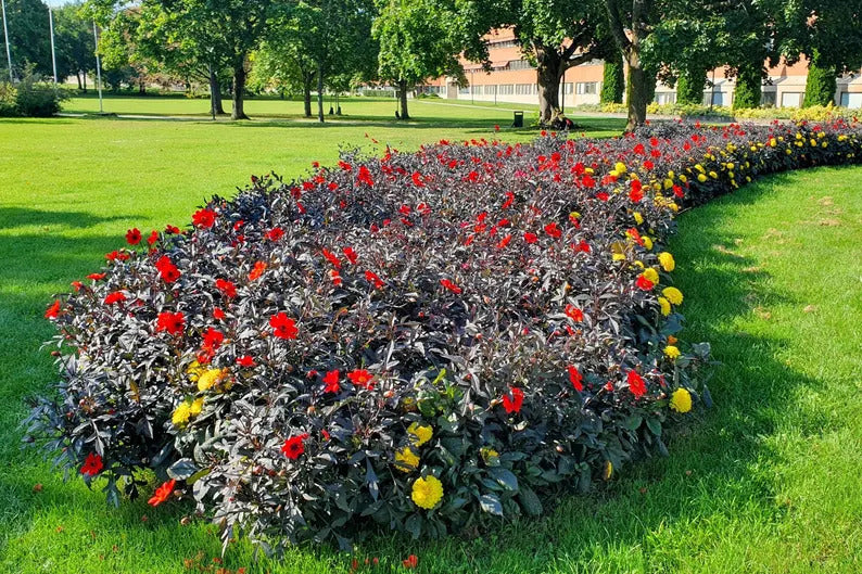 5c0057e0-27a4-4428-a8b1-032d7c37d288