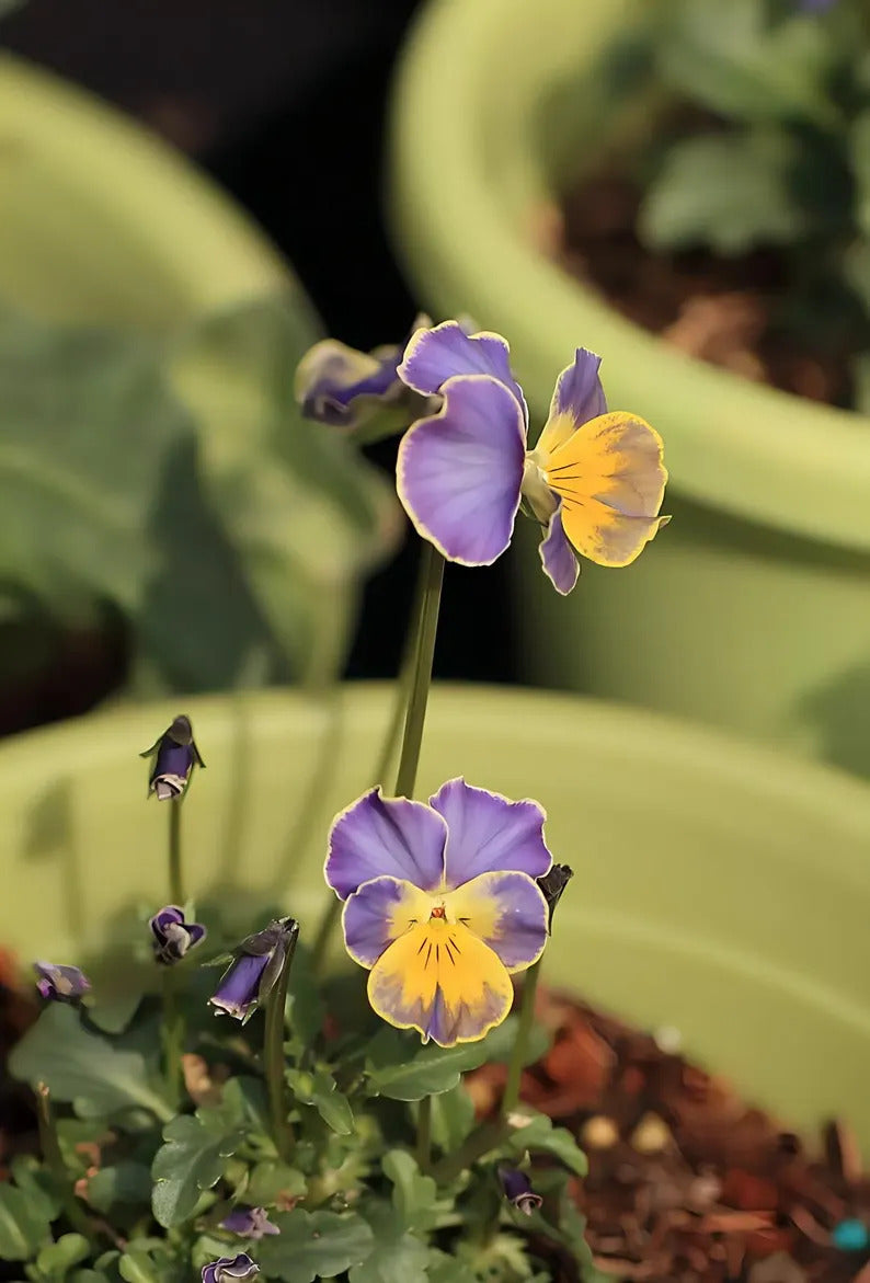 ad58af7f-19dd-423b-ad1c-b85198e447c7