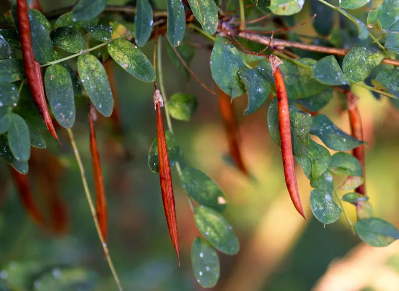 61f9b375-bb41-4843-b332-a994acbb9d41