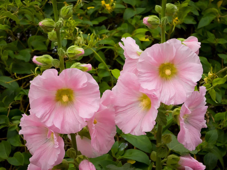 edc5ce9b-9104-4eac-9065-649e330e03ac