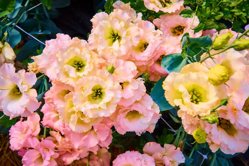 b1c0367f-d3cd-478b-9b79-e7e18aee970d