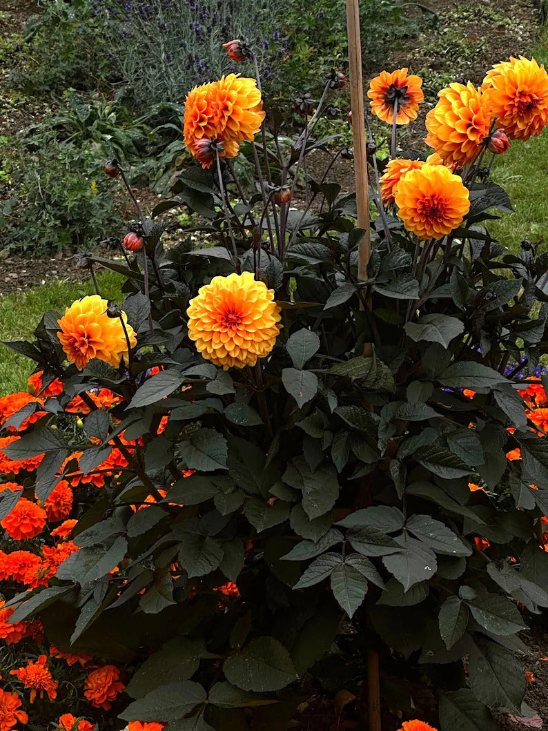 f0e940d5-466a-4e33-af5c-06702a74a5e1