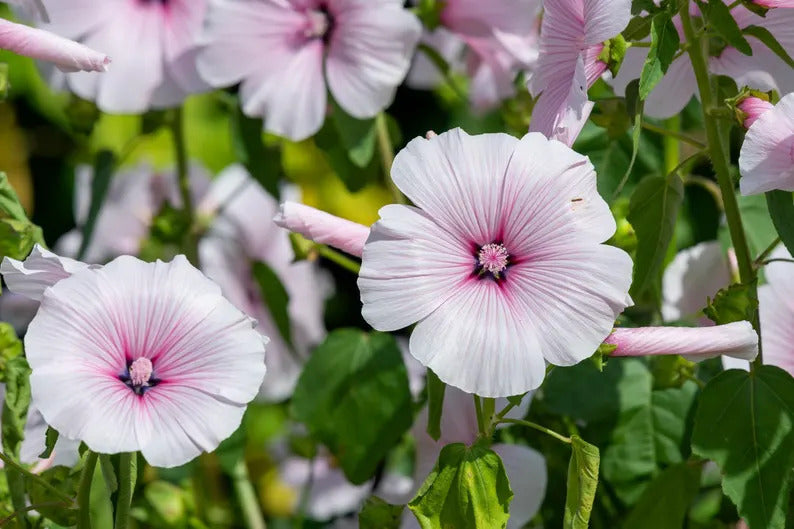 a64ae4c5-627f-49f0-9e2a-83070dd284ba