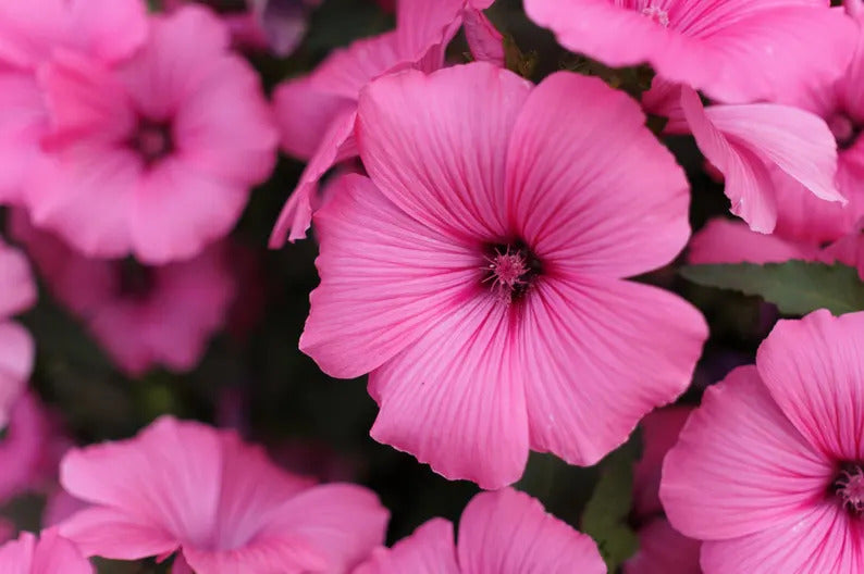 69ab3734-6834-4f95-942b-f05bf4b40305