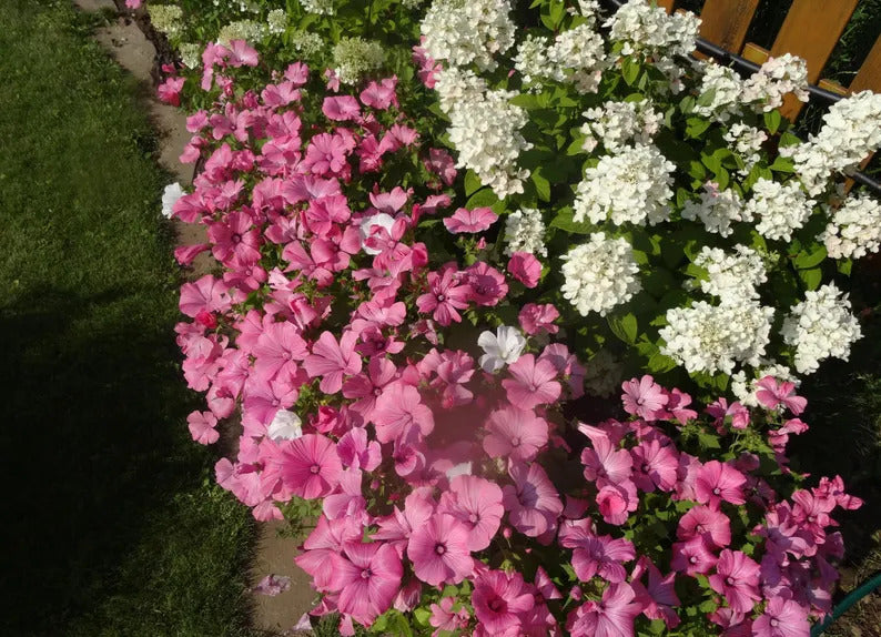 92d0b701-a738-44f5-81e9-a2b6675f497b