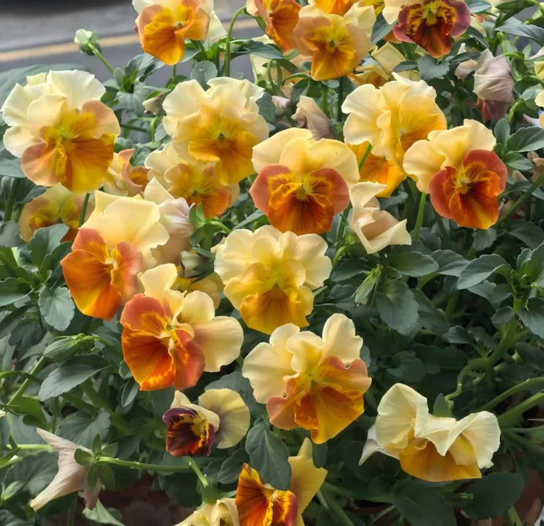 87be601c-ea96-4f69-a387-98ff5fe5de5a