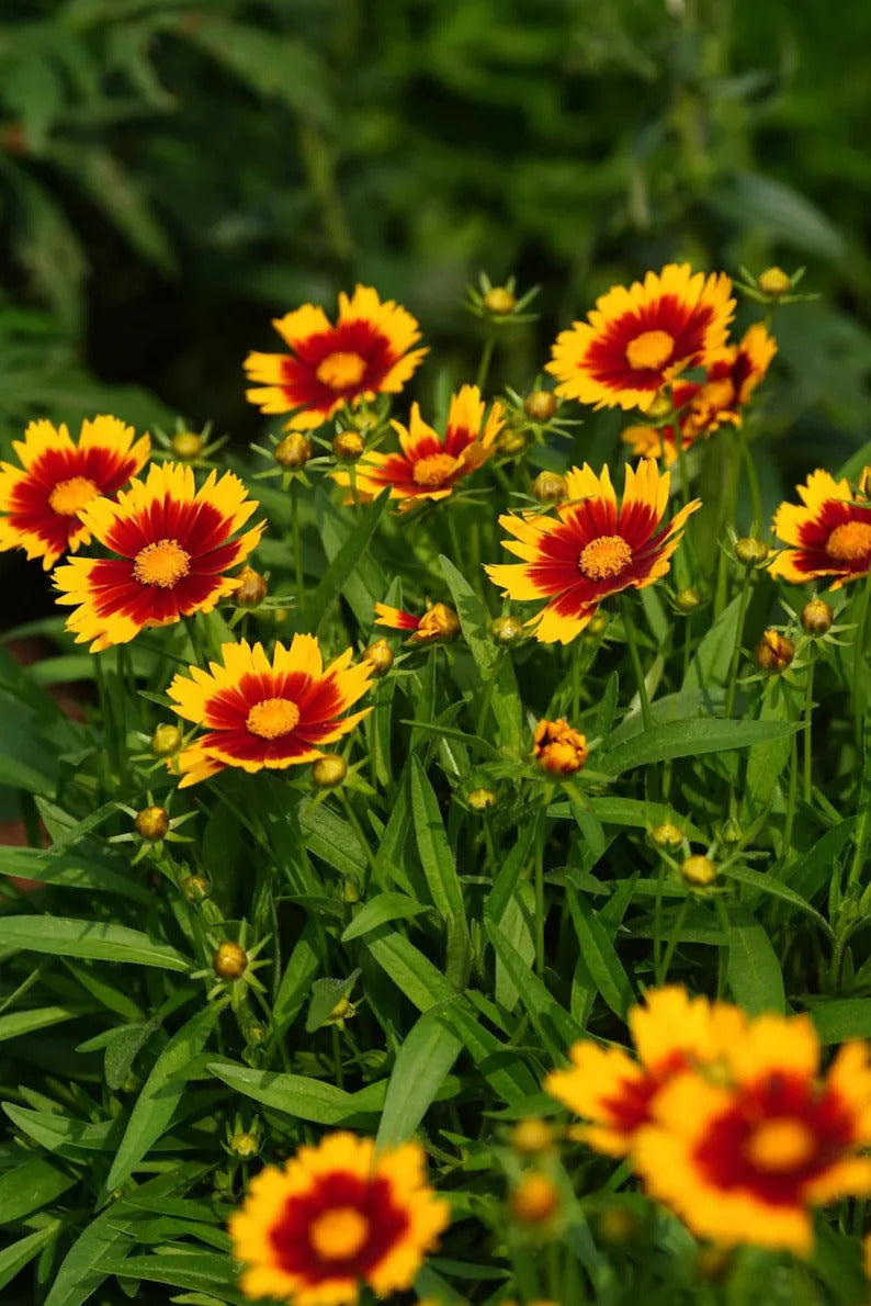 408d3ff4-106a-4723-91c1-78ae69c3b3ef