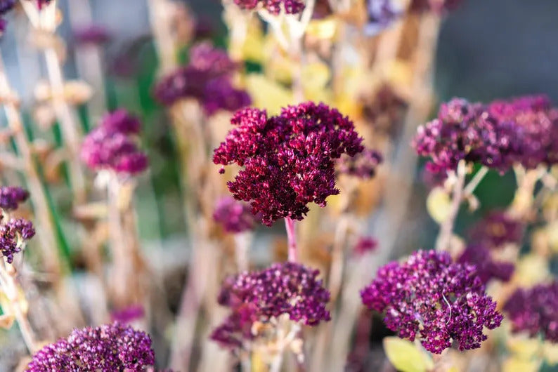 74791e8f-49e3-400f-8af0-38af3eae1cf9