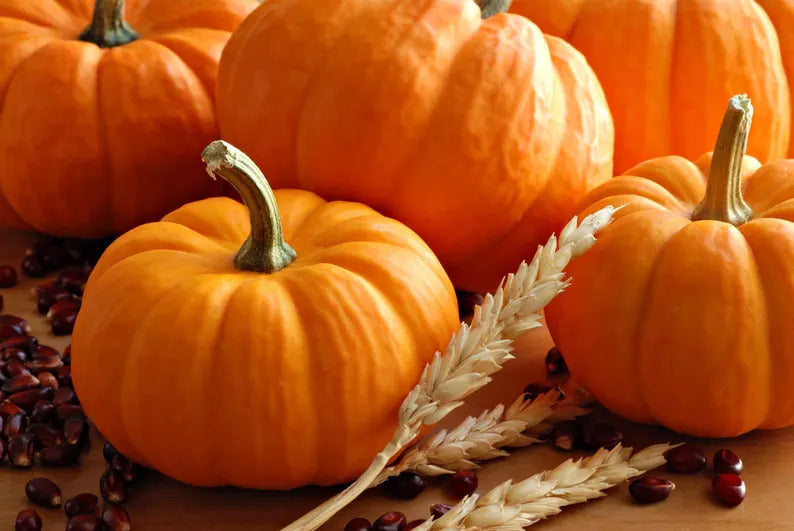 5b29520d-8a92-4c48-86b8-cb9a38256247