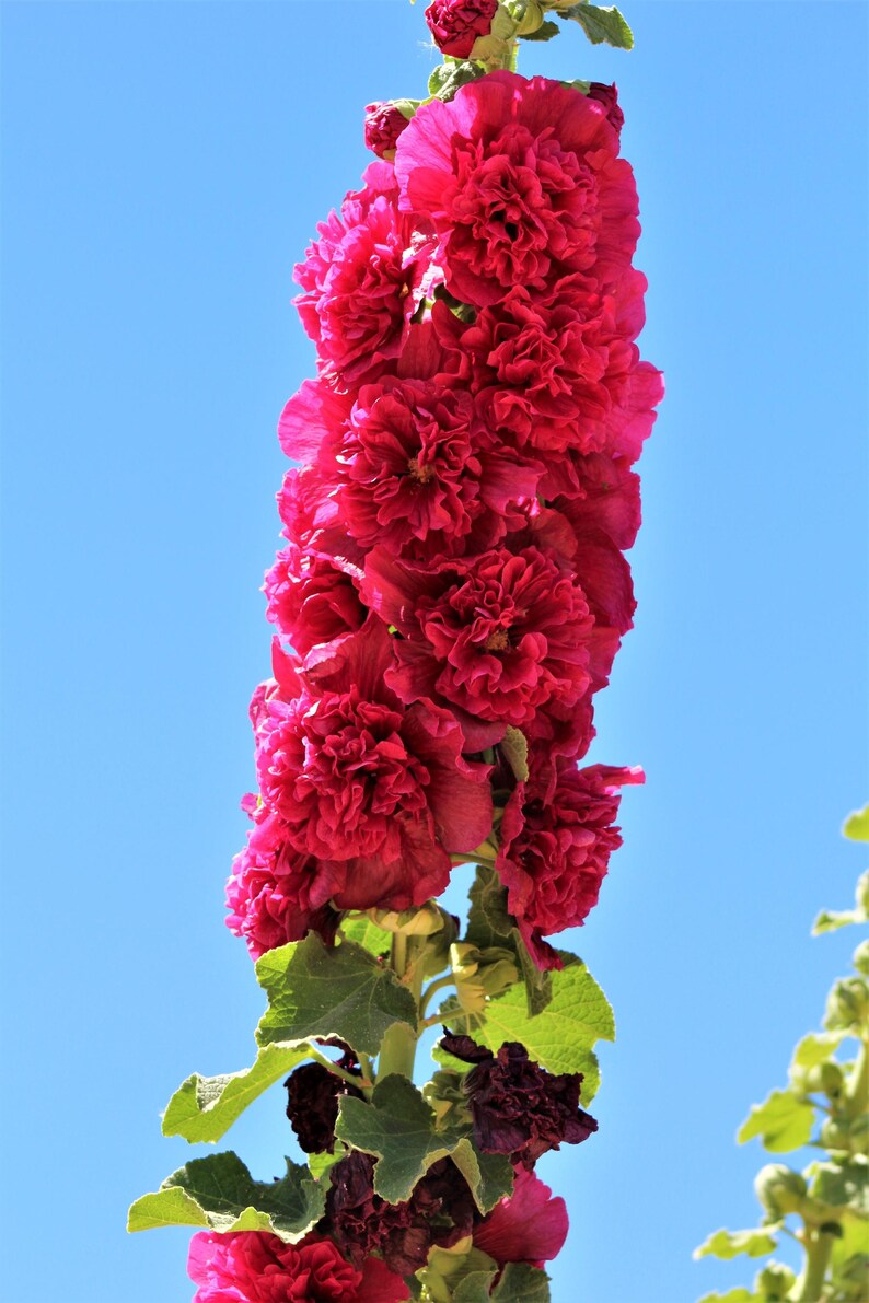 e3598f18-7d16-4001-b2af-e77a930a89e8