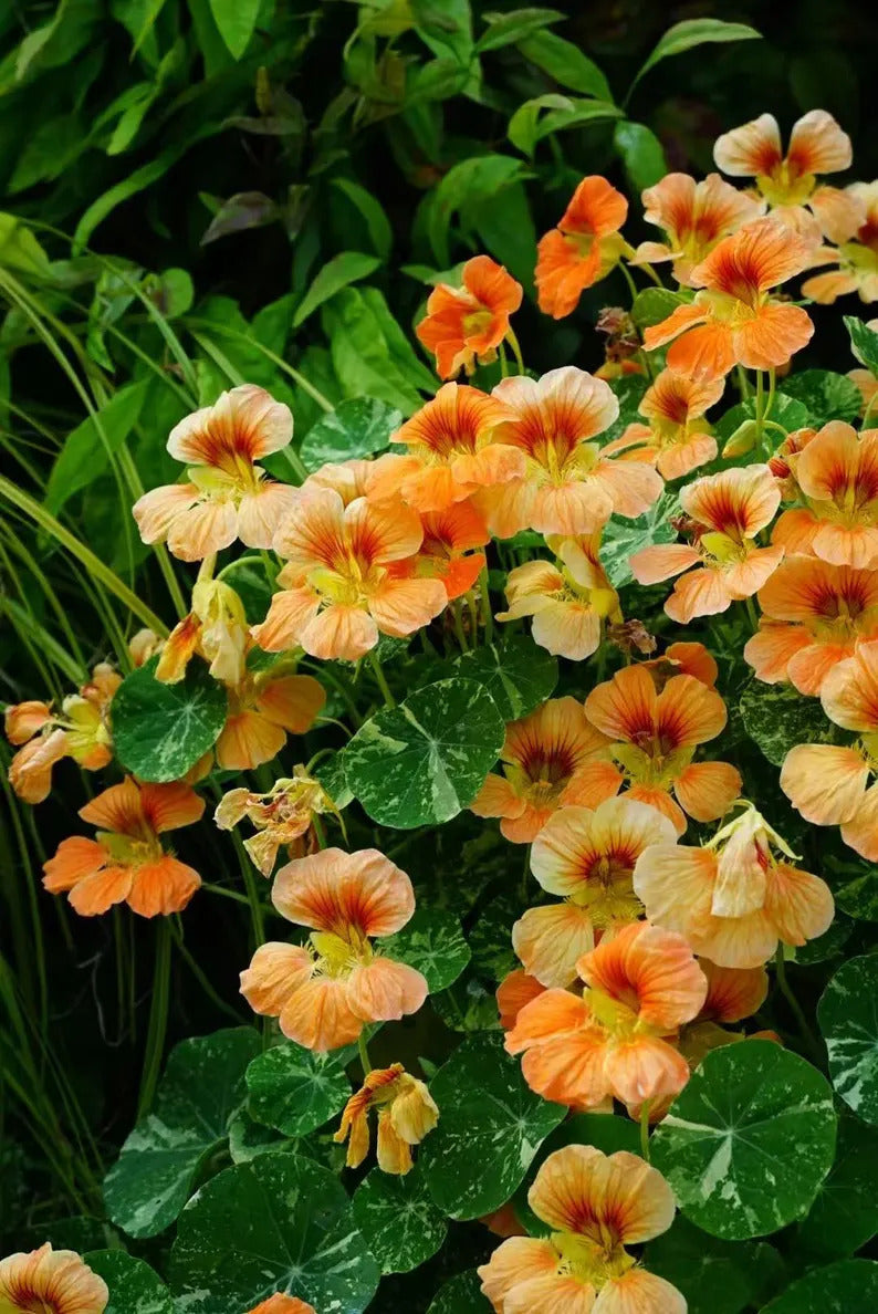 8ee3c9a7-be79-4270-9c85-80bc130578ec