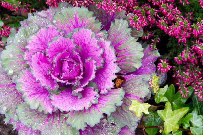 48c2cd8e-5683-487d-a0e0-8fcbc88e141d