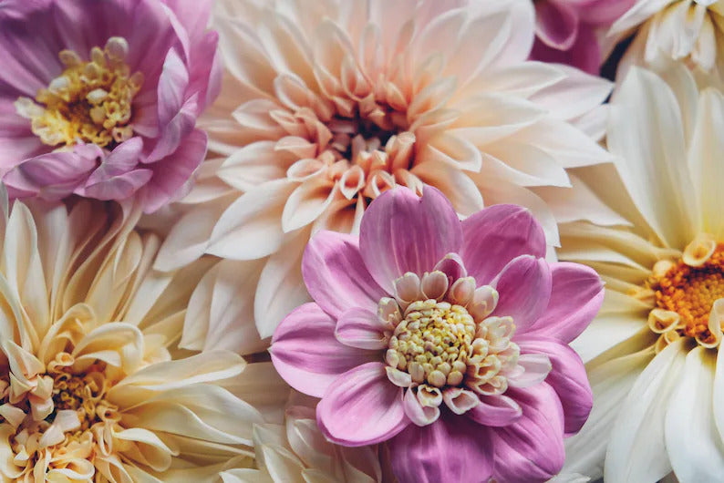 cb688ab8-329e-40e0-a3c4-3e0182c4a639