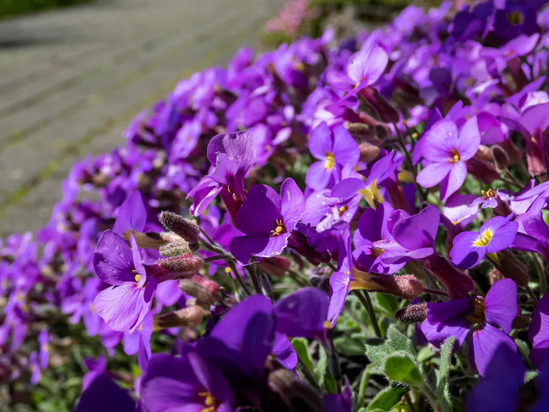 815708a1-bfde-479a-a74f-b6bba7340f8c