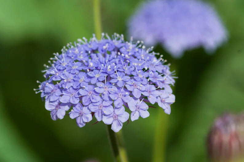 9c551ebc-c6e5-4675-babd-e50a487a3bac