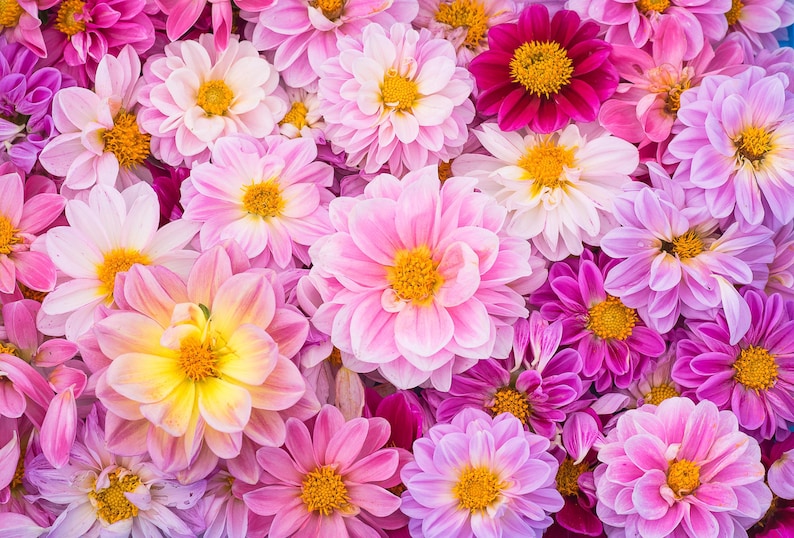 d4959f5b-2e91-4693-bef2-57ef21972d57