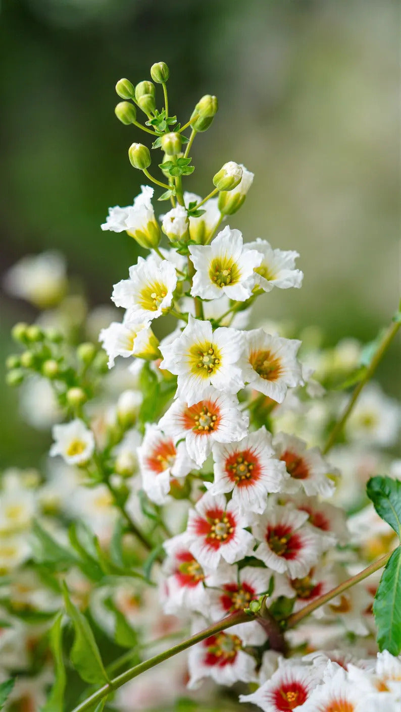 a003edf2-1fbb-4494-8d2b-221fbed9fcce