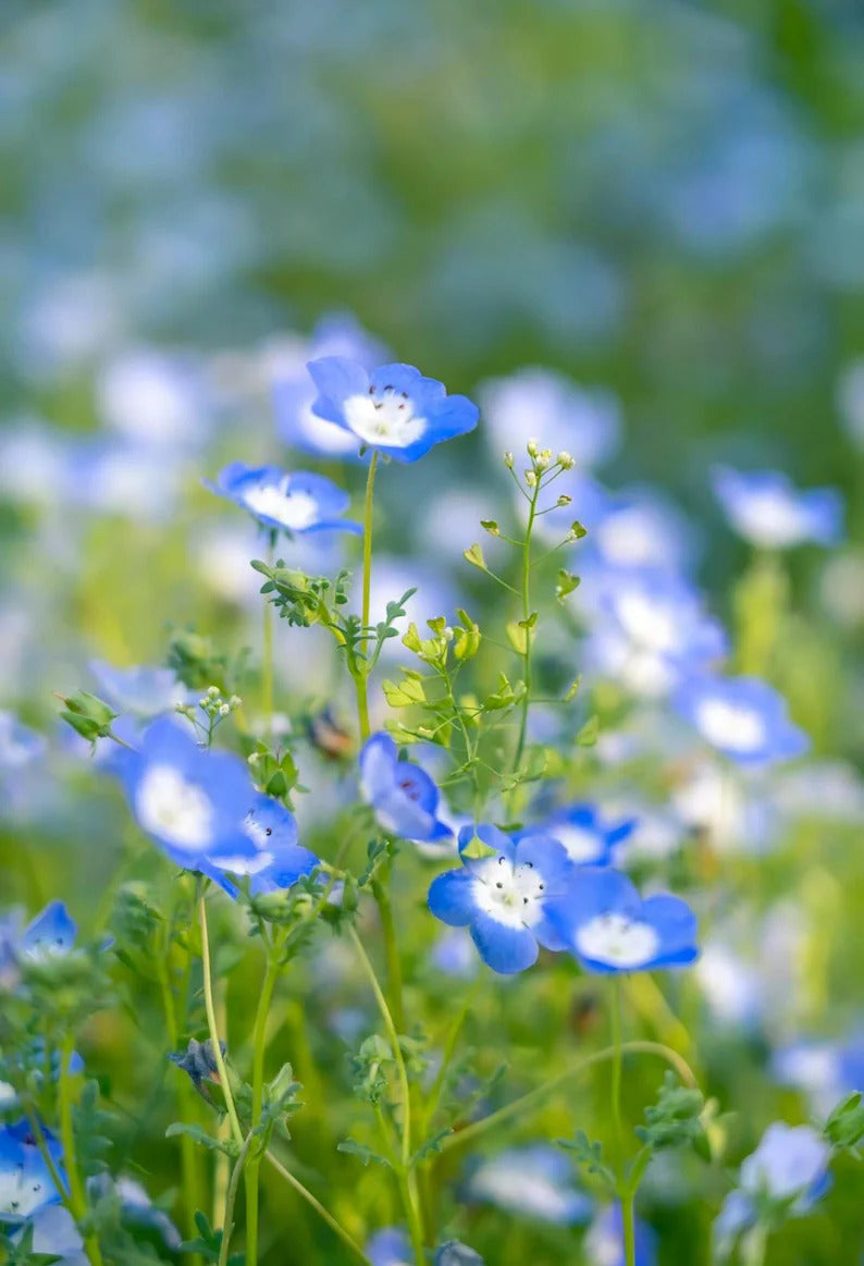 17081b3d-3437-4f0e-a538-dee022c0e335