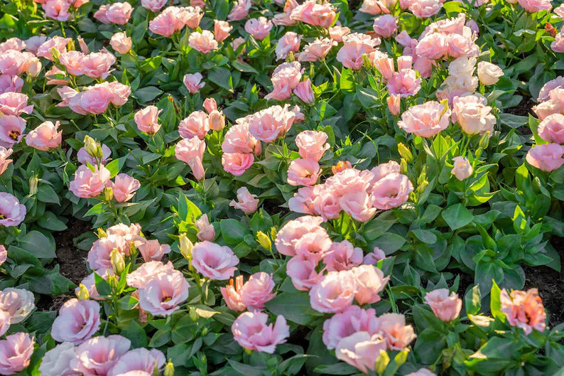 cc5fb910-e7cb-4c15-9042-8f1e81cc02f6