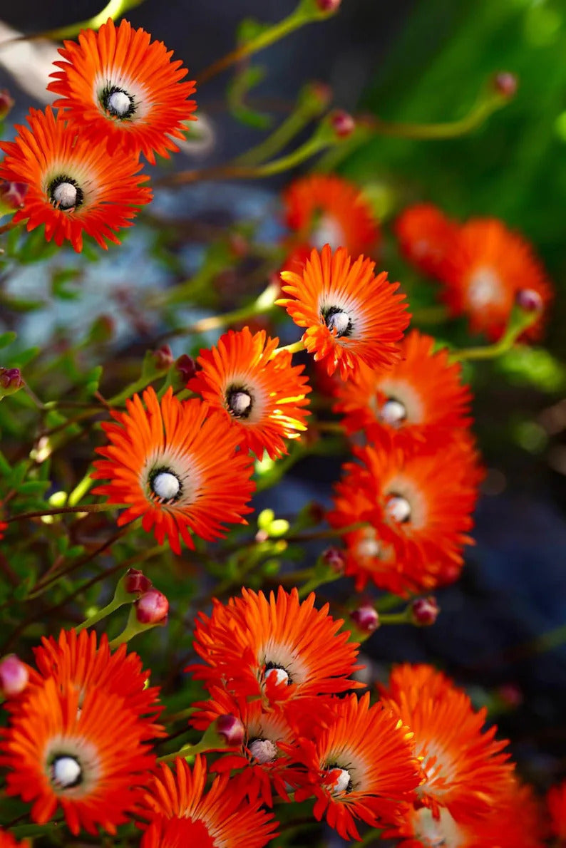 79abbed8-0358-4a6b-89d0-ab5aa1897c32