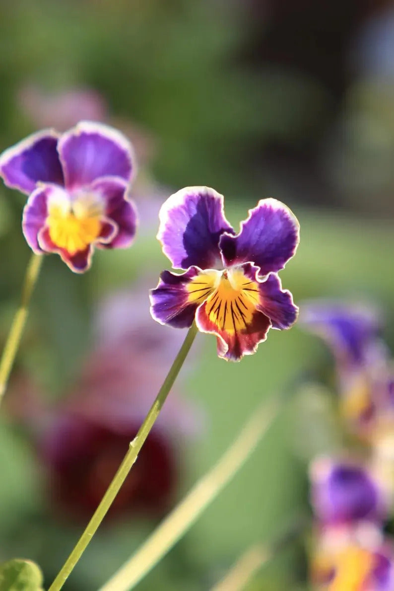 65f46a1e-531d-499f-9185-3513a7108d1b