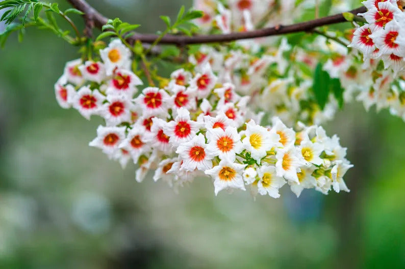 11e7551b-9168-4b98-88ee-667f9b8ebb23