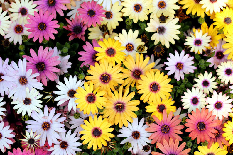 f354bdd4-e056-4df1-afbc-39706b6bdcf0