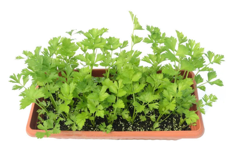 57f6e635-d9c2-4ecc-ac41-0412377667d4