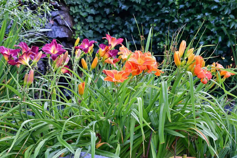 4b0e895a-e226-4182-a4dc-3dc70acf9650