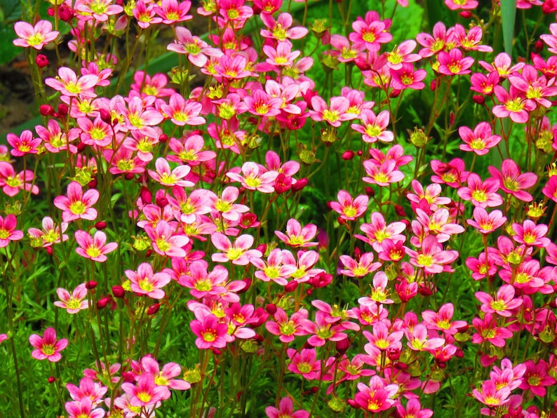 58d80795-e422-45dc-b661-760a85c93939