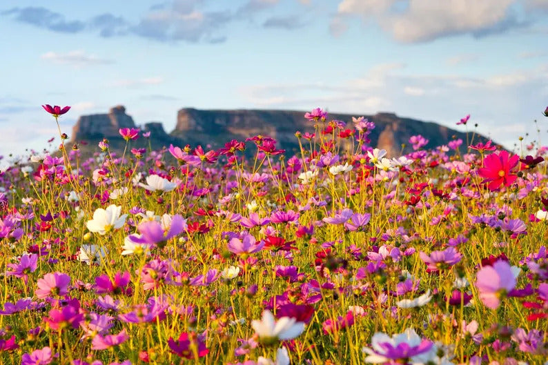 606dc5d1-64c5-453b-a82a-71855380633b