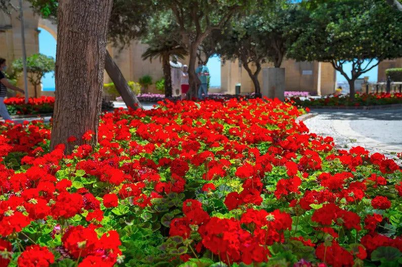 84d20923-0d90-4382-88a7-3066fbeec9ae