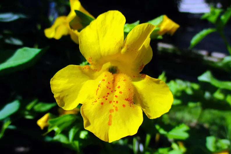 bd3bf6de-2d6d-4a9d-991f-9db1f4a7192c