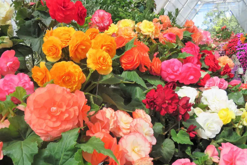 2452823f-6f5a-42e8-a5cc-ac442c697ae9