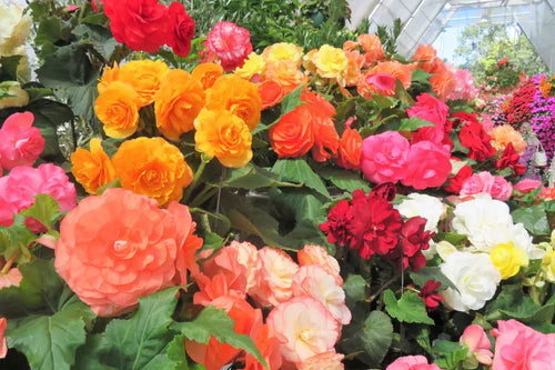 2452823f-6f5a-42e8-a5cc-ac442c697ae9