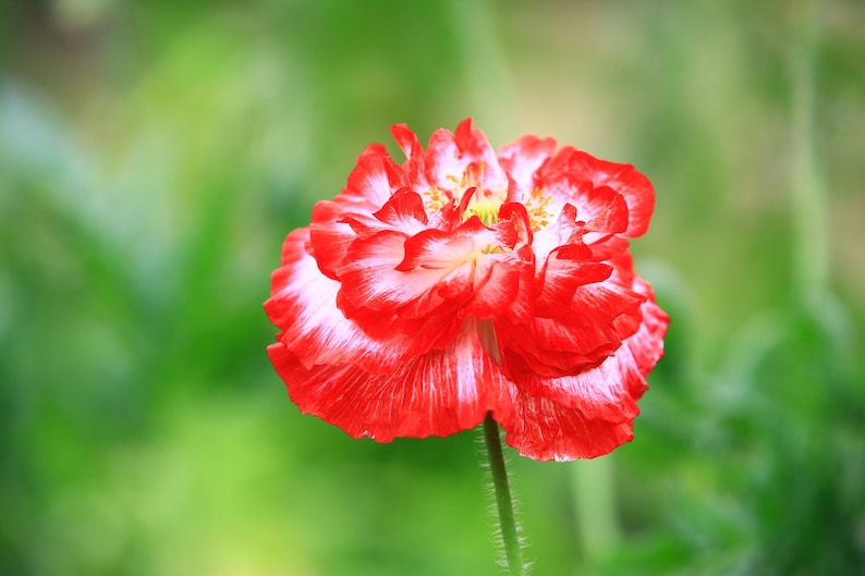 6f9fb110-9e02-420c-a3fa-bf064620f0d5