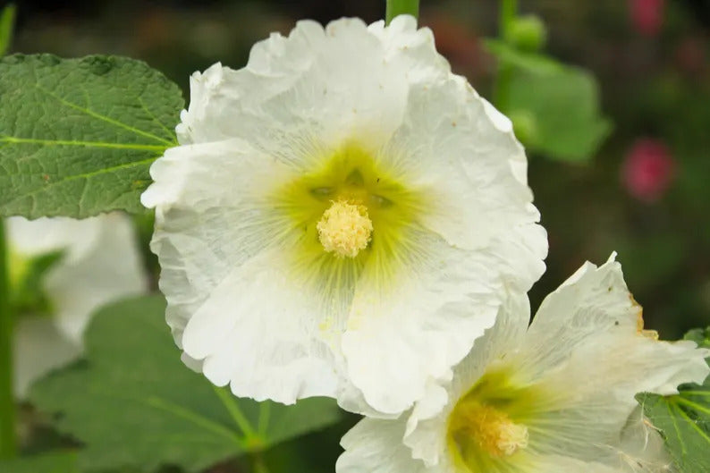 07123c45-897a-4c80-a665-e5b7dcbf54d8