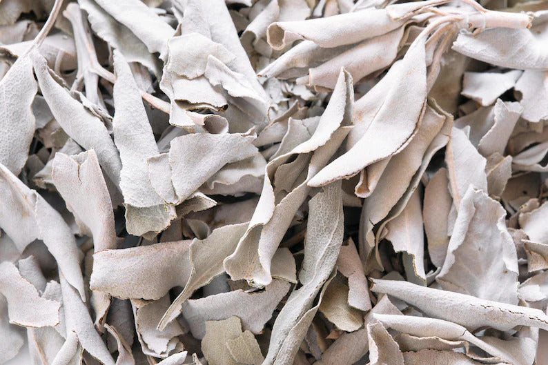 94fd412f-5555-4f7a-b574-ad44effab86f