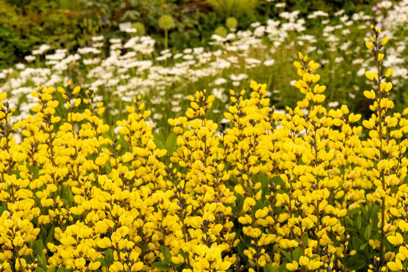 c5d519f8-16f1-4ad7-8d89-34015193485f