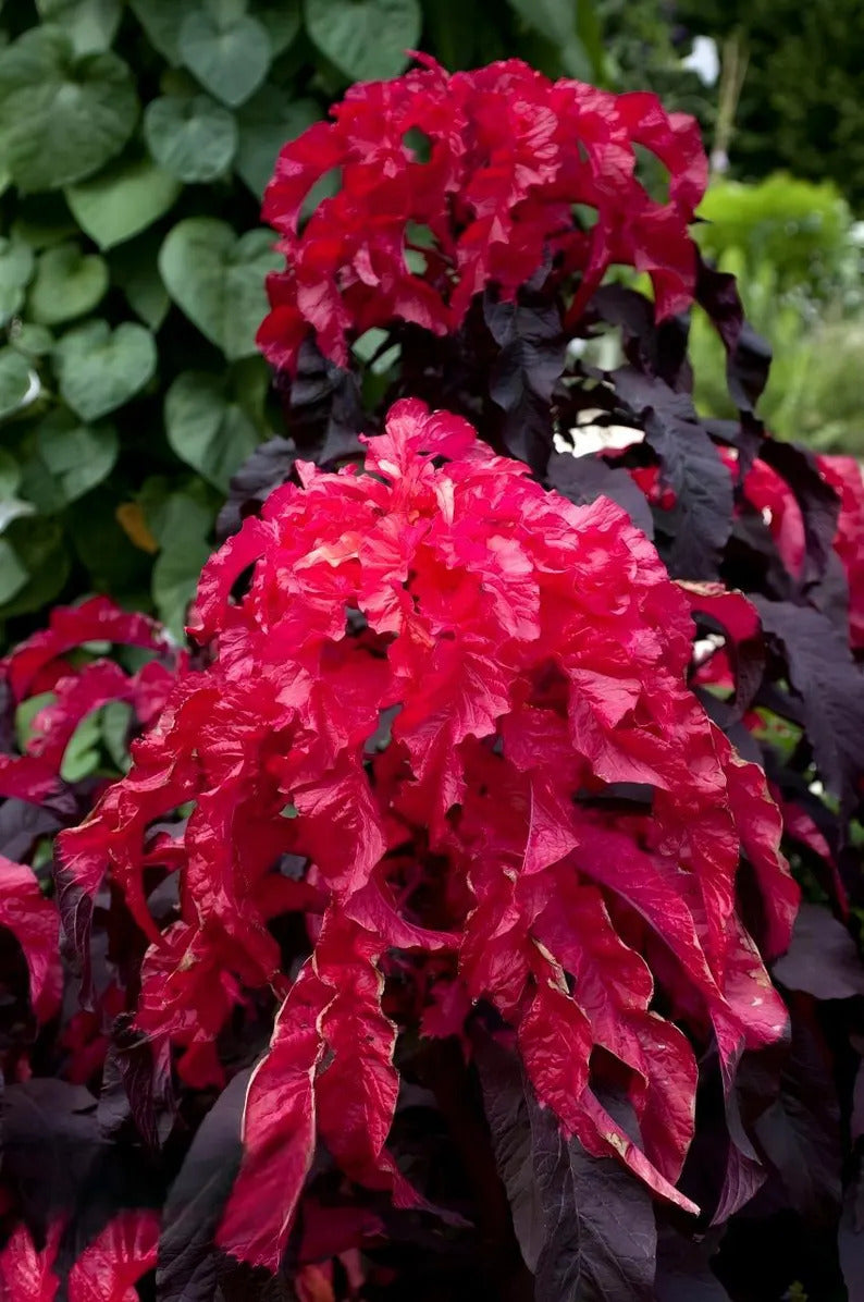 e9b7fbb0-5bbd-49c7-ad03-46b793dceec9