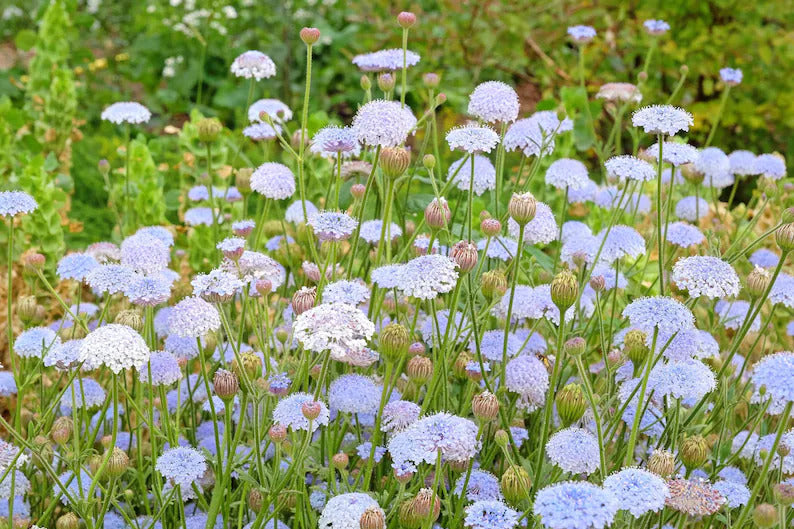 35f6da5b-8935-4454-9f4e-6e6faaee40e8